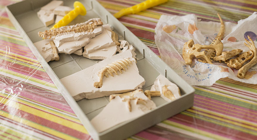 Educational game to find fossils for a small archaeologist, with children's hands digging